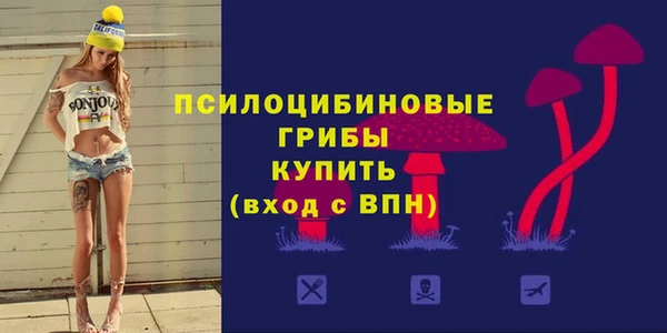 дурь Краснослободск
