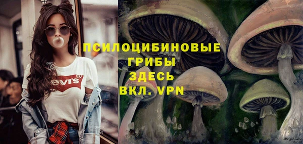 твердый Красноперекопск