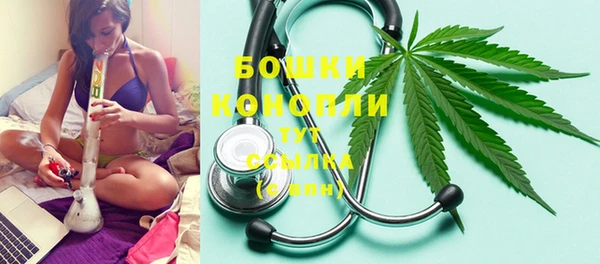 дурь Краснослободск