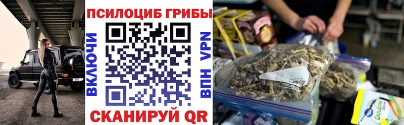 дарнет шоп  Лысково  Псилоцибиновые грибы мухоморы 